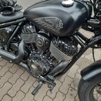 Black Beauty  nur in schmutzig
