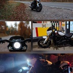 Mit der neuen 101 durch den Pfälzerwald