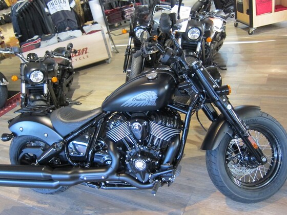 Black Beauty
