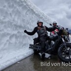 Frühling am Sölkpass