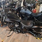Black Beauty