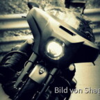 Dark Horse On the Road
