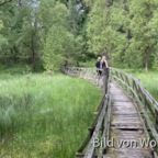 Ferienpark Hohenspringe Moor